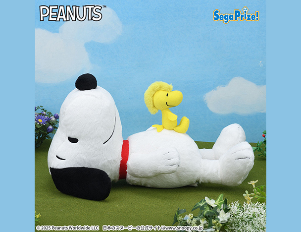 ROUND1コラボキャンペーン