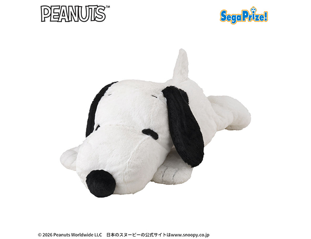 ROUND1コラボキャンペーン