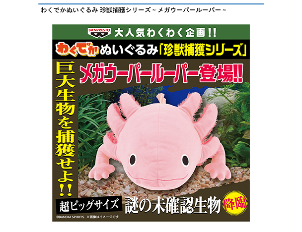 ROUND1コラボキャンペーン