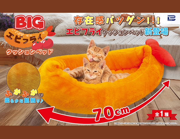 ROUND1コラボキャンペーン