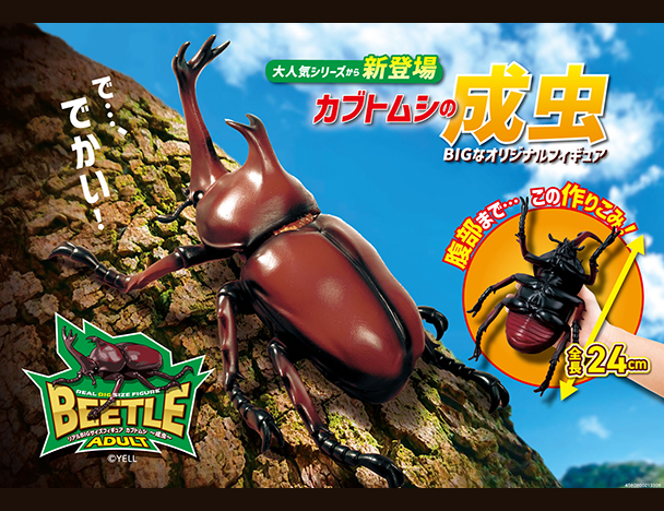 ROUND1コラボキャンペーン