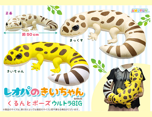 ROUND1コラボキャンペーン