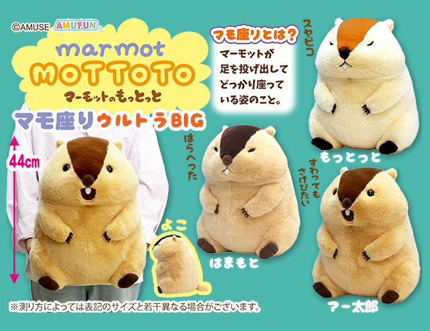 ROUND1コラボキャンペーン