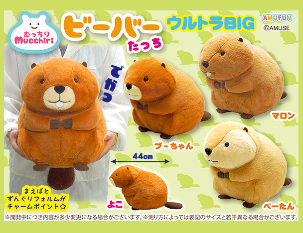 ROUND1コラボキャンペーン