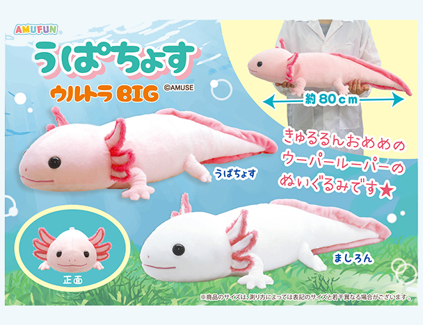 ROUND1コラボキャンペーン