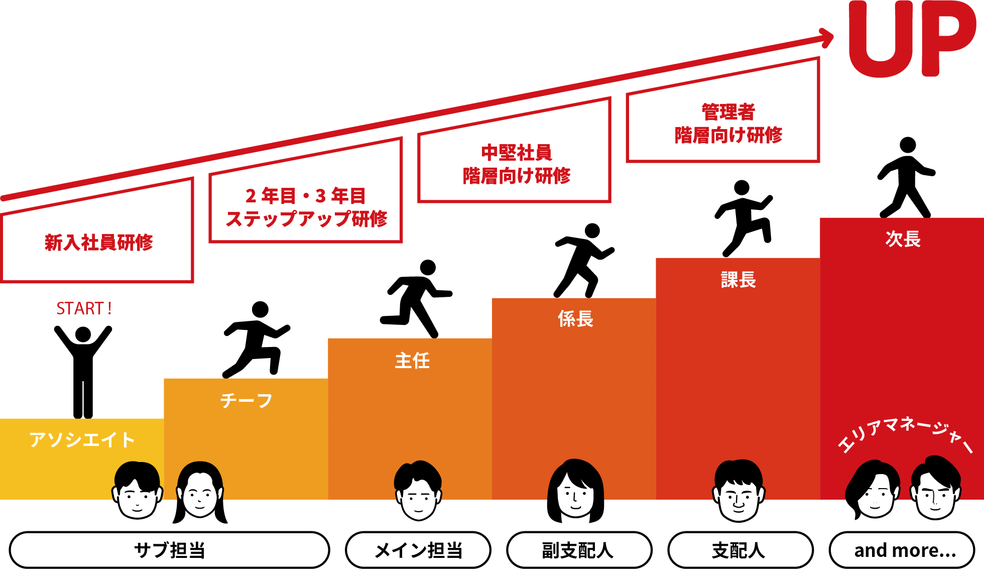 人材育成について