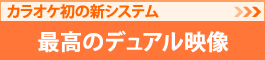 最高のデュアル映像